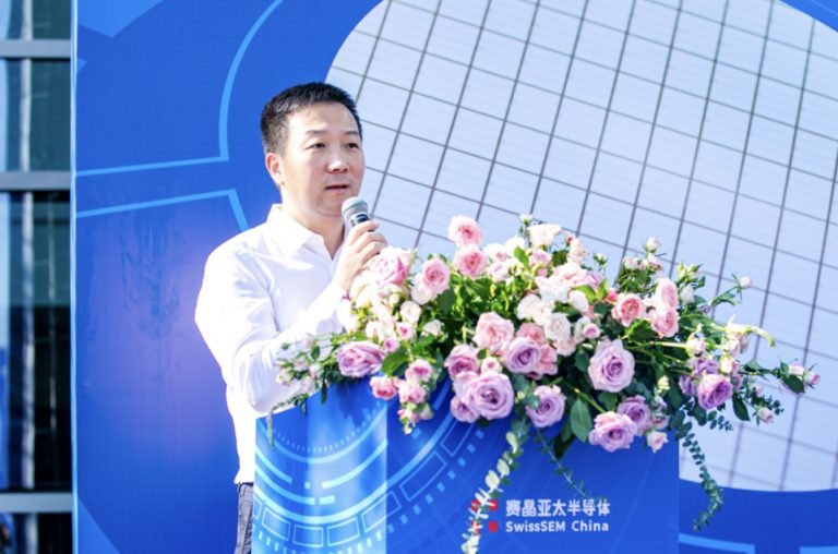 《Bodo’s功率系統》：岸容待臘將舒柳，山意沖寒欲放梅--國產自主技術芯片蓄勢突圍